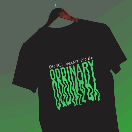 stray kids oddinary regular fit tshirt